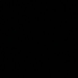 Meet your Posher, Hugo